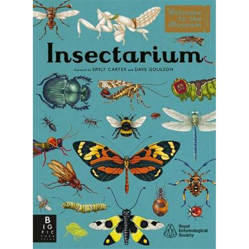 Insectarium (Hardback) - Emily Carter